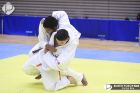 Foto by Aureo Yokoyama. Portal Mie - cobertura de eventos no Japão