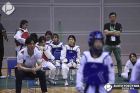 Foto by Aureo Yokoyama. Portal Mie - cobertura de eventos no Japão