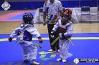 Foto by Aureo Yokoyama. Portal Mie - cobertura de eventos no Japão