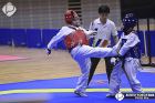 Foto by Aureo Yokoyama. Portal Mie - cobertura de eventos no Japão