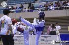 Foto by Aureo Yokoyama. Portal Mie - cobertura de eventos no Japão