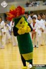 Foto by Celso Oikawa. Portal Mie - cobertura de eventos no Japão
