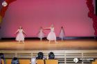 Foto by Celso Cardoso. Portal Mie - cobertura de eventos no Japão