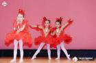Foto by Celso Cardoso. Portal Mie - cobertura de eventos no Japão