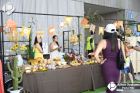 Foto by Ailton Oyakawa. Portal Mie - cobertura de eventos no Japão